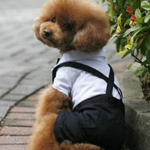 Suit Puppy Costume Jumpsuit Coat Clothes - Pet Dogs Cat Clothing Prince Tuxedo Bow Tie