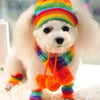 Socks Winter Pet Puppy Accessories For Dogs PT045 XXS/XS/S/M/L Chihuahua Cat Products - Pink/Yellow/Rainbow Striped Hat/Scarf
